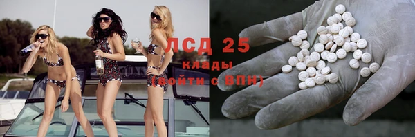 дживик Богородицк