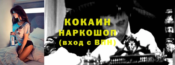 дживик Богородицк