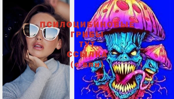 кокаин Богданович