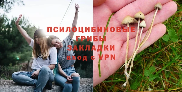 кокаин Богданович