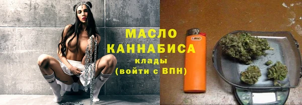 дживик Богородицк