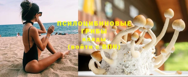 тгк Армянск