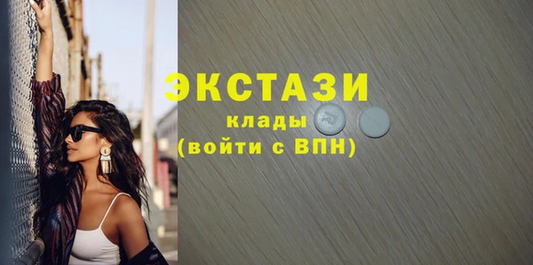 дживик Богородицк